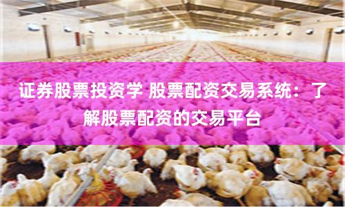 证券股票投资学 股票配资交易系统：了解股票配资的交易平台