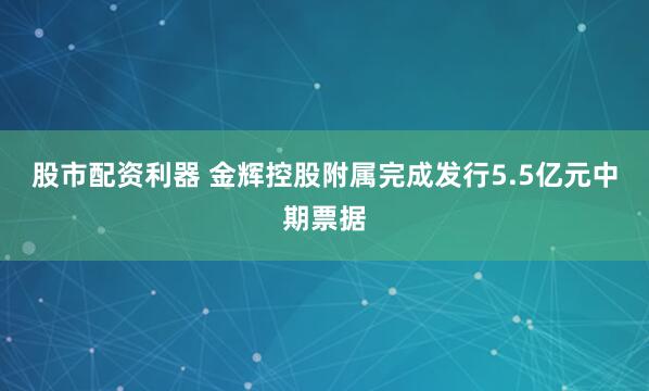股市配资利器 金辉控股附属完成发行5.5亿元中期票据