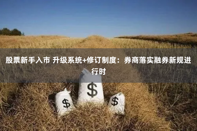 股票新手入市 升级系统+修订制度：券商落实融券新规进行时